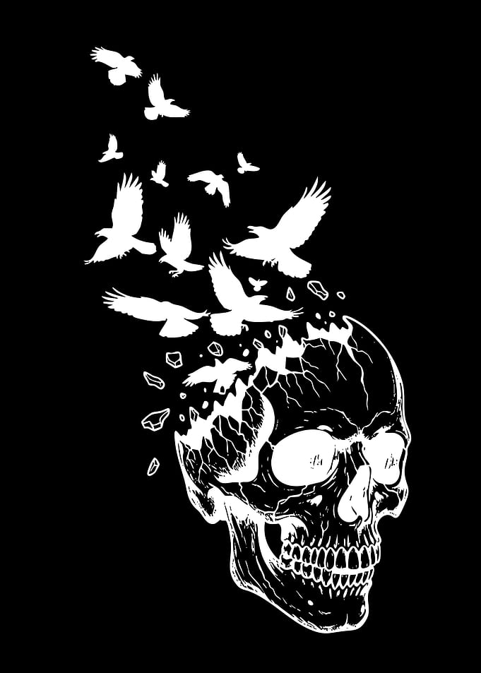Skull with Birds Flying Out