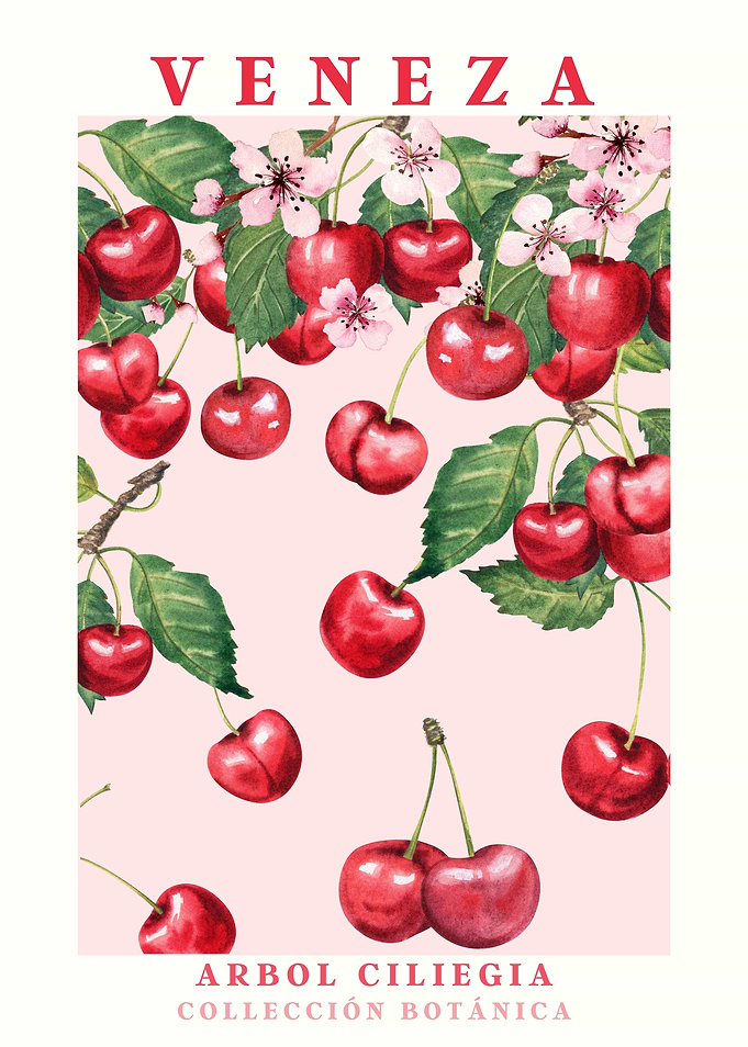 Veneza Cherry Blossom Botanical Art