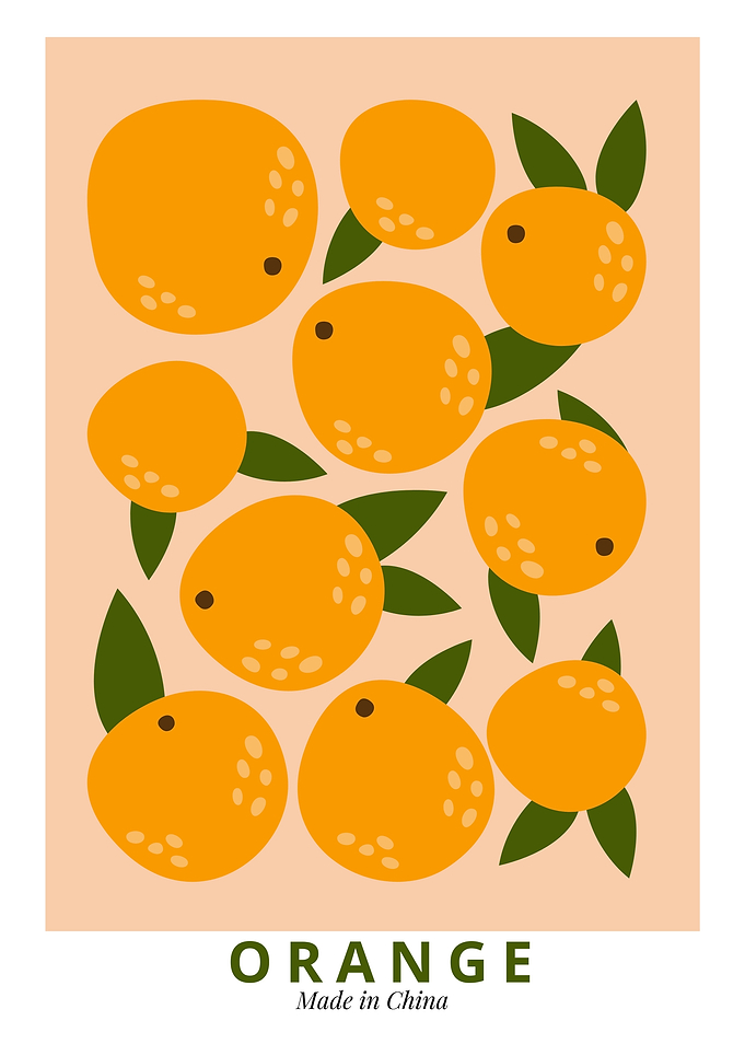 Orange Fruit Illustration