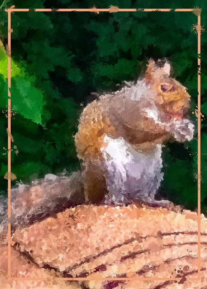 Squirrel having a snack