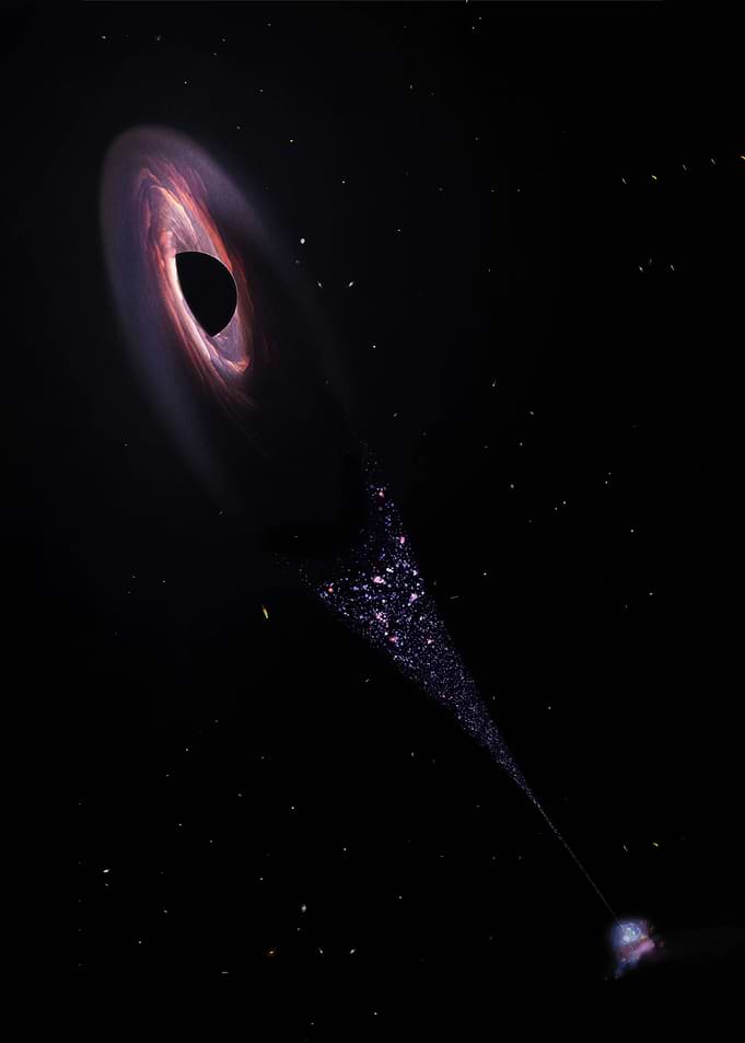 Black Hole Accretion Disk and Jet
