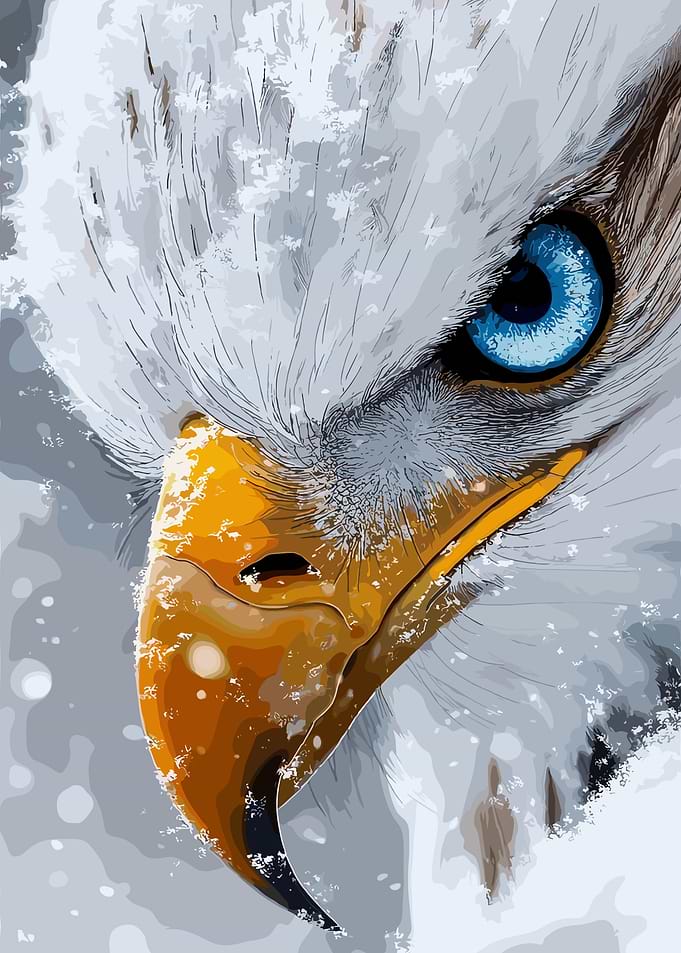 Close-up of an Eagle's Eye in Snow