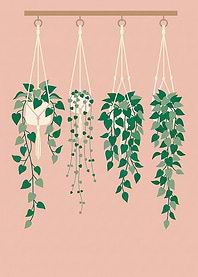 Hanging Potted Plants