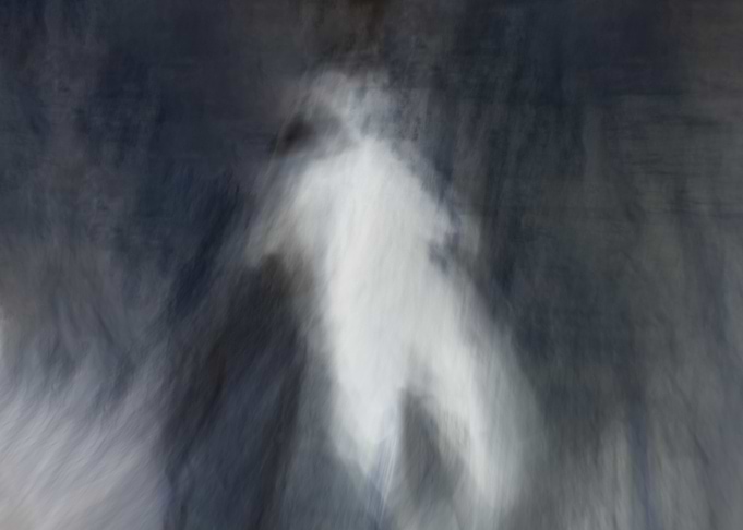 Abstract Figure in Motion