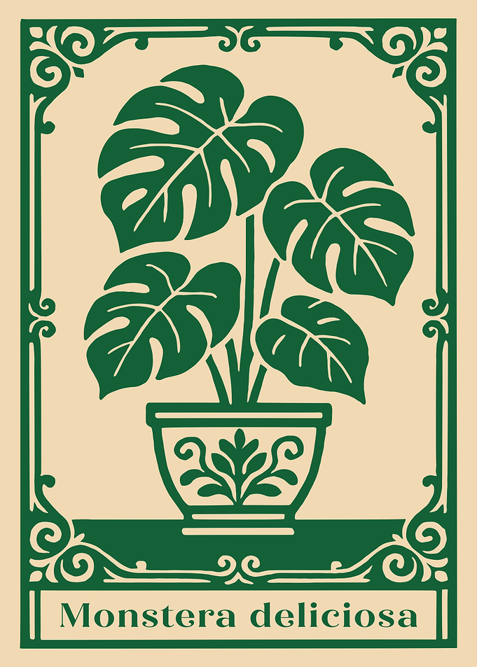 Monstera Deliciosa Plant Illustration