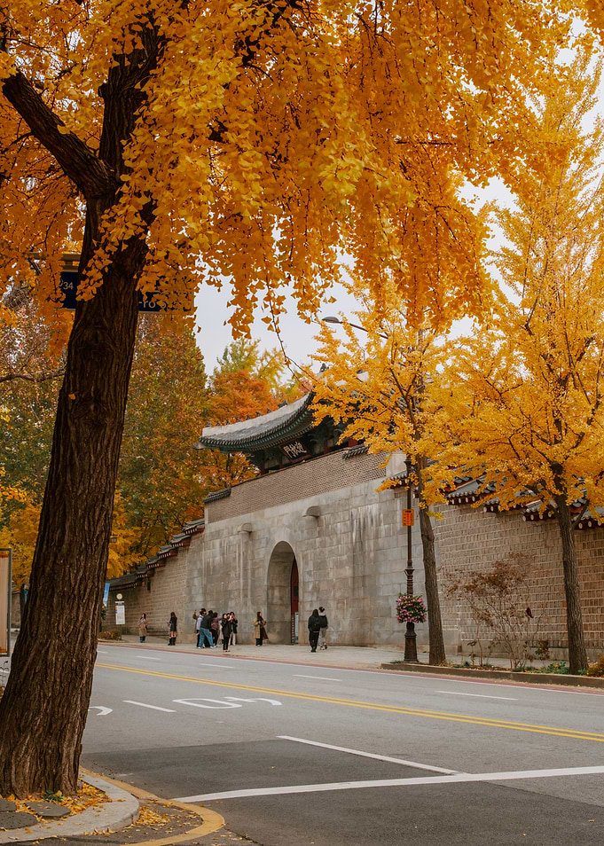 Autumn in Seoul, South Korea