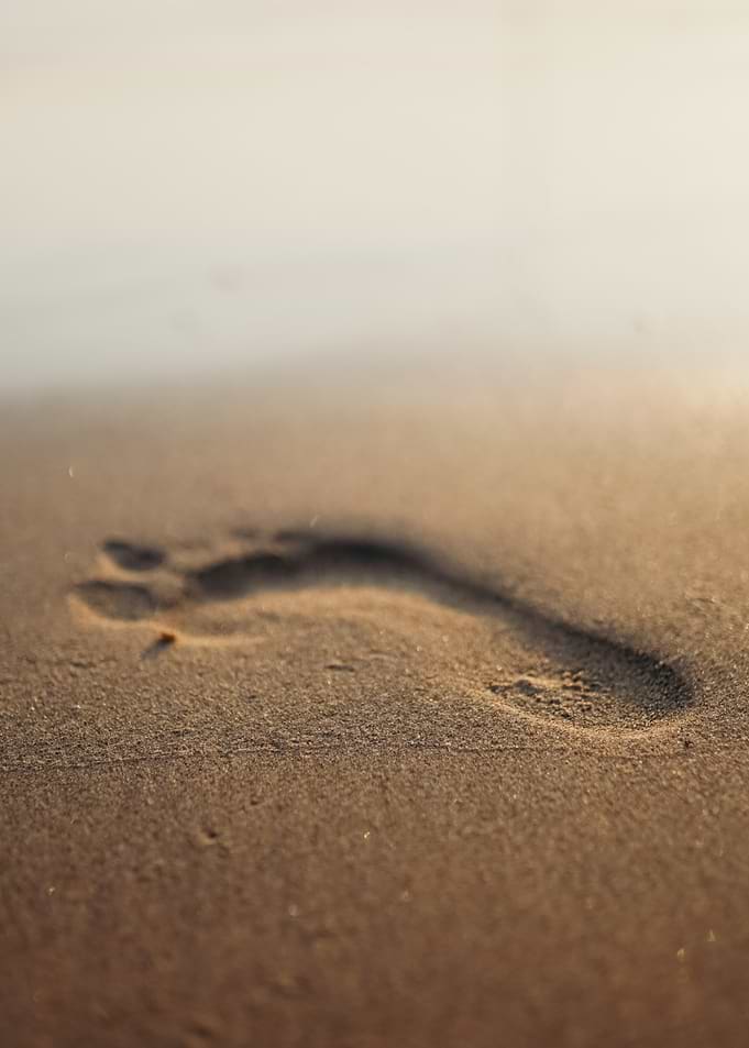 Footprint in the Sand
