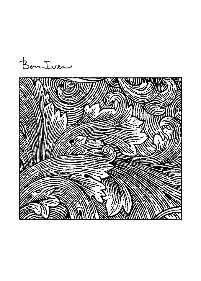 floral illustration