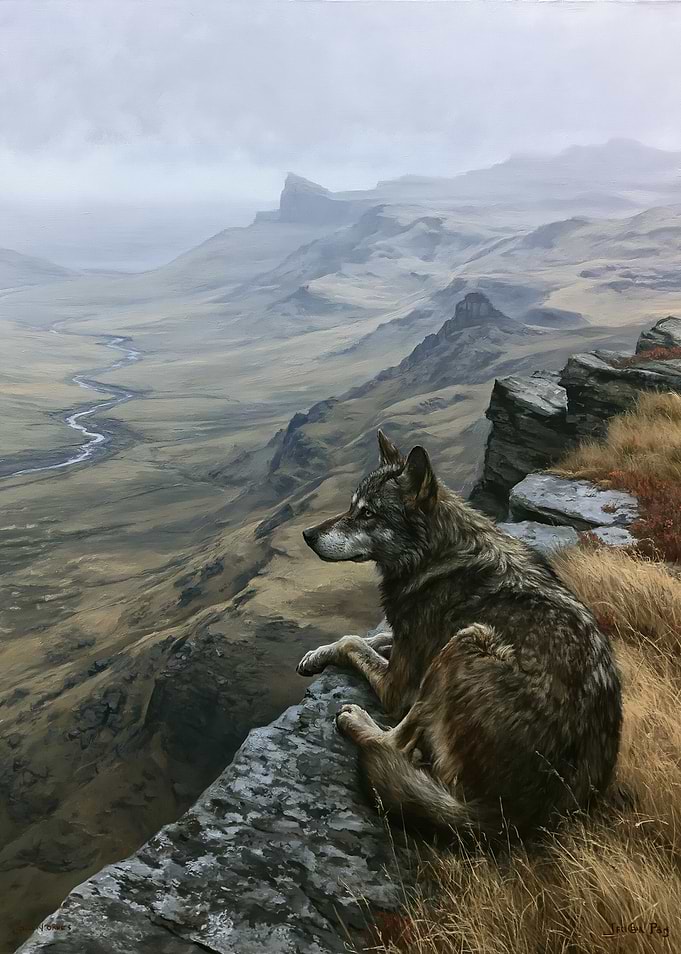 Wolf overlooking a misty valley