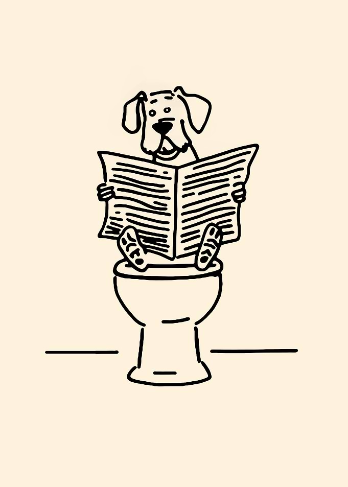 Dog reading newspaper on toilet