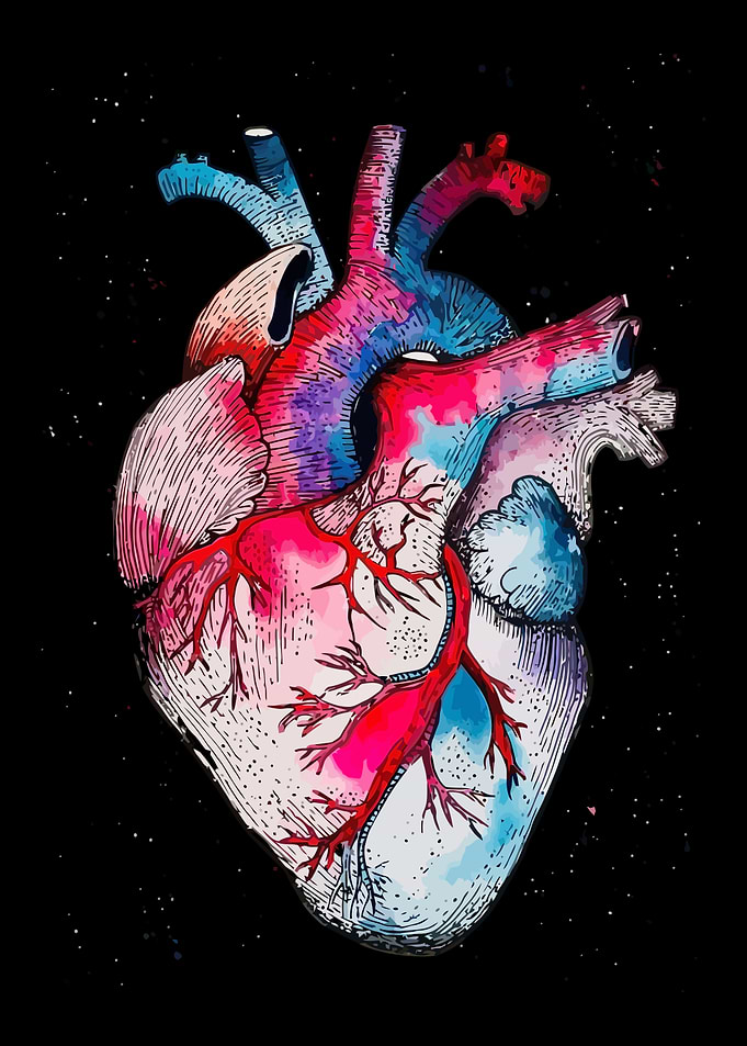 Watercolor Anatomical Heart Art