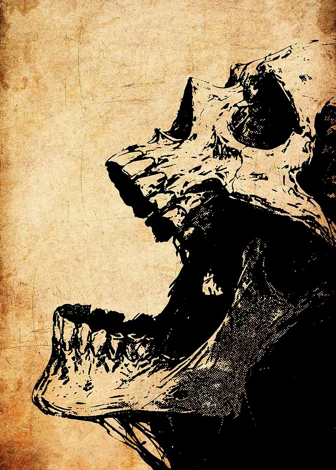 Screaming Skull on Grunge Background