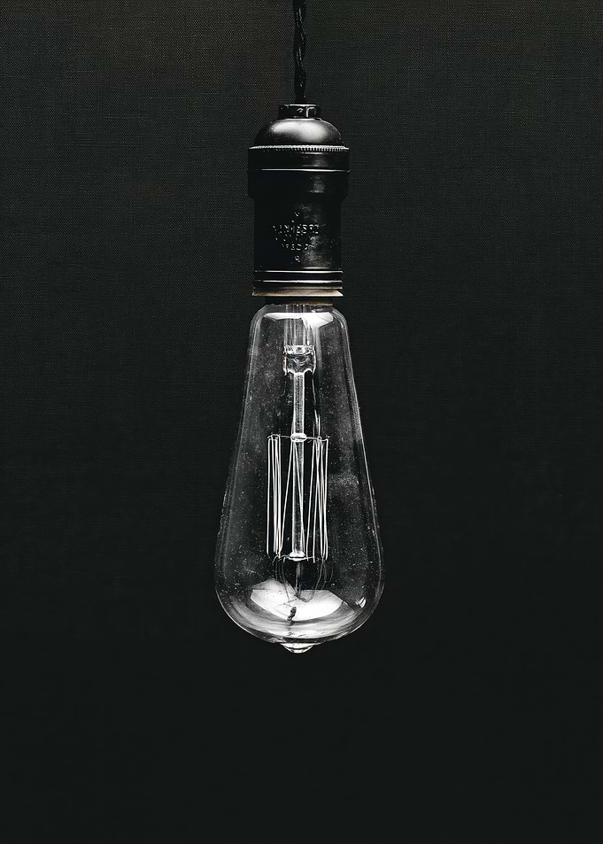 Vintage Edison Light Bulb