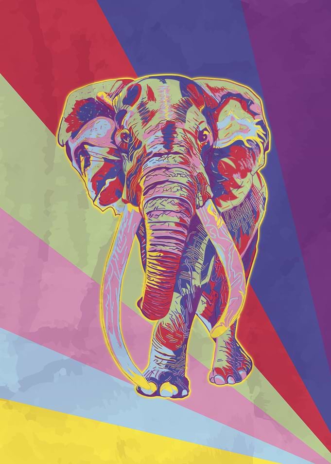 Pop Art Elephant Portrait