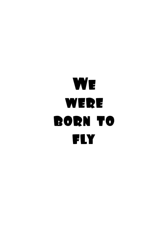 We Were Born to Fly text art