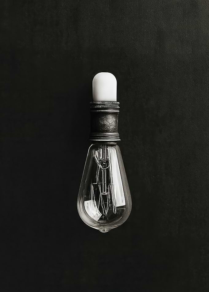 Vintage Edison Light Bulb