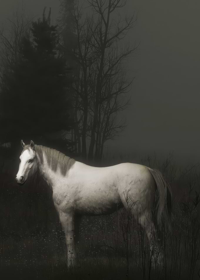 White Horse in Misty Forest