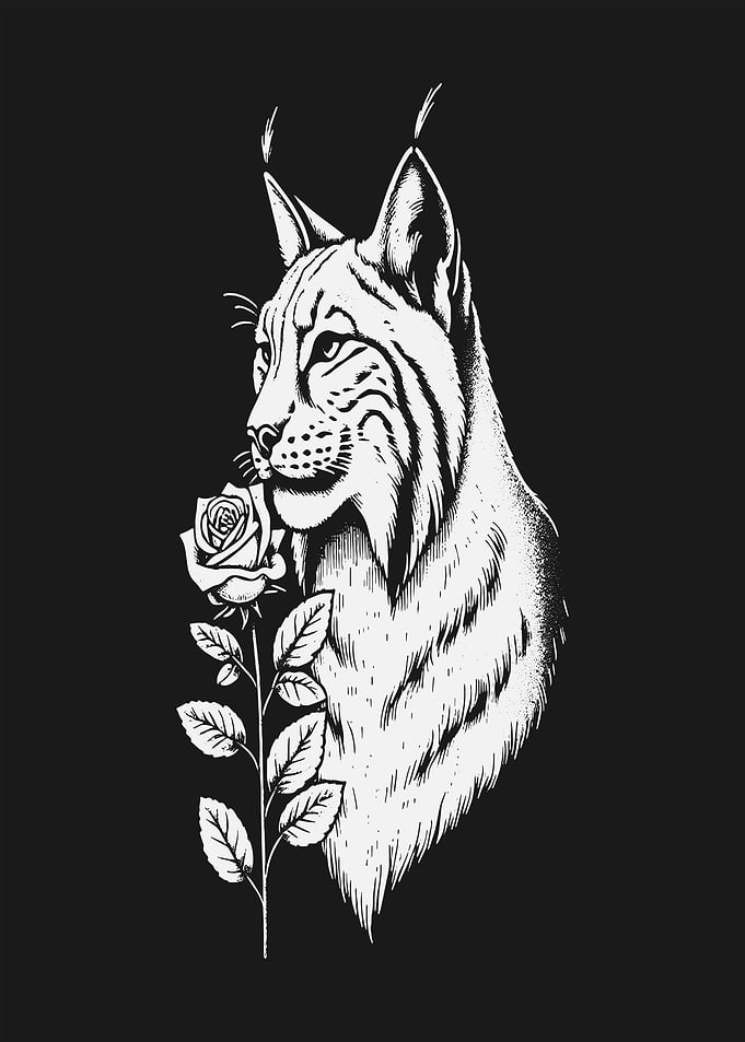 Lynx with Rose Illustration