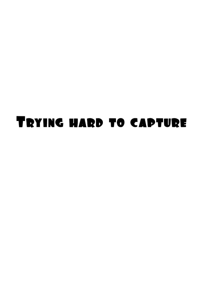 Trying Hard to Capture Text Art