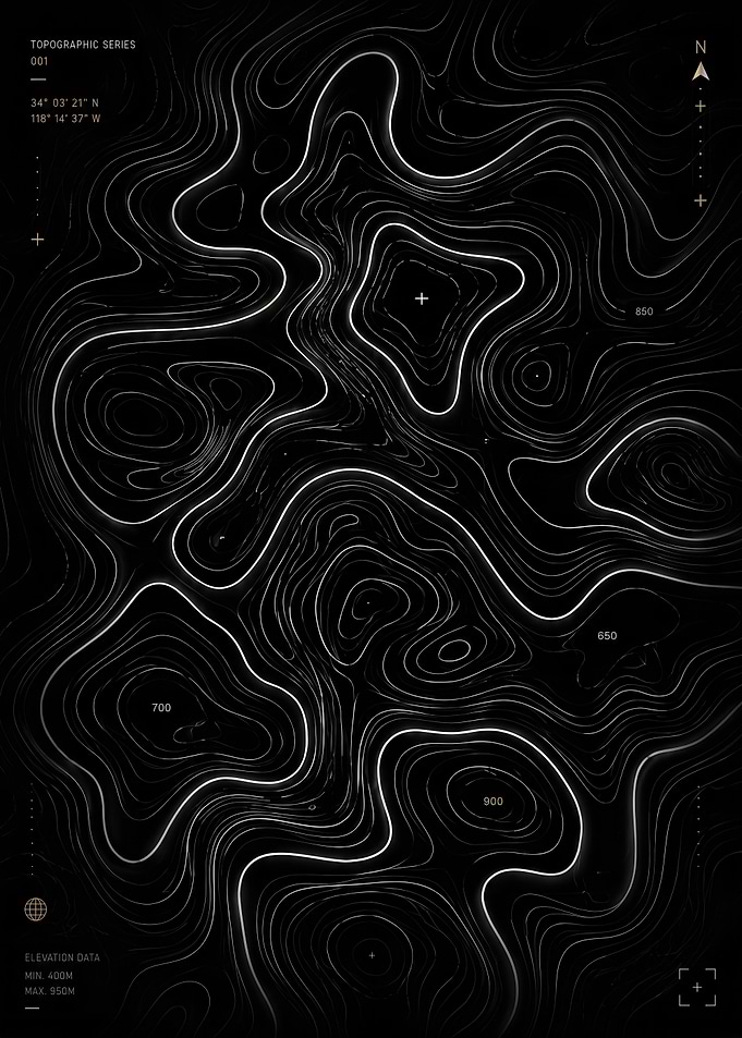 Topographic Map Art