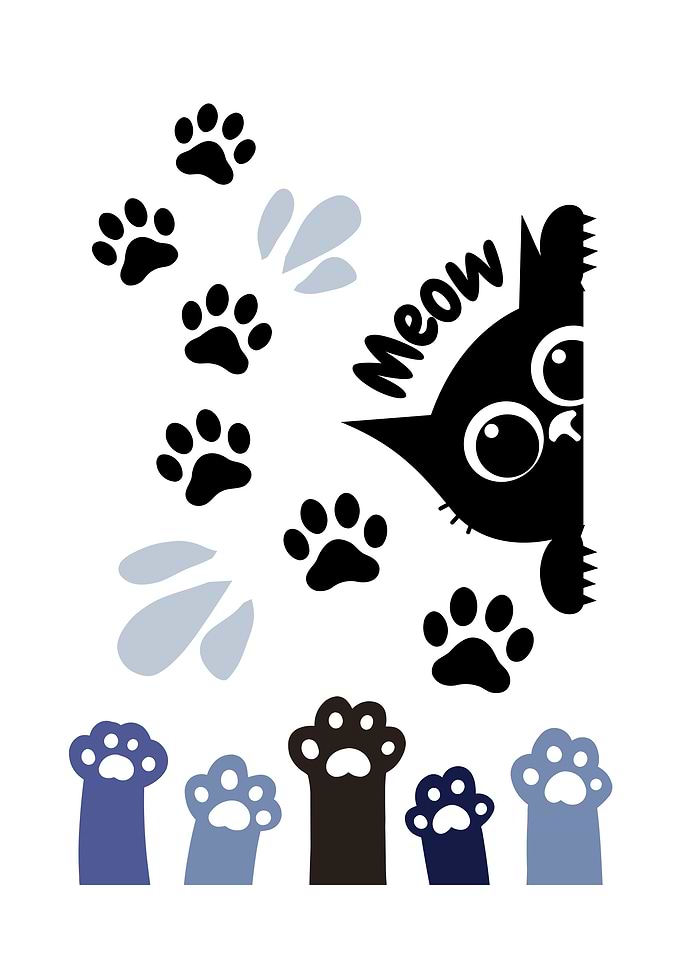 Cute Cat Peeking with Paw Prints