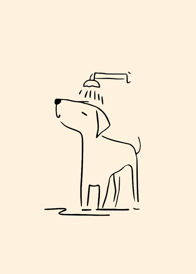 Dog getting a shower toilet