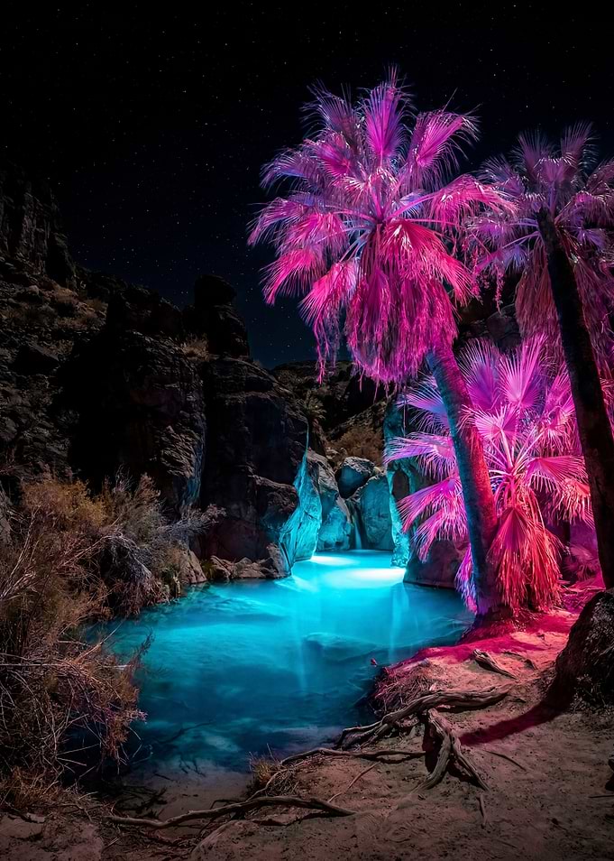 Magenta Oasis