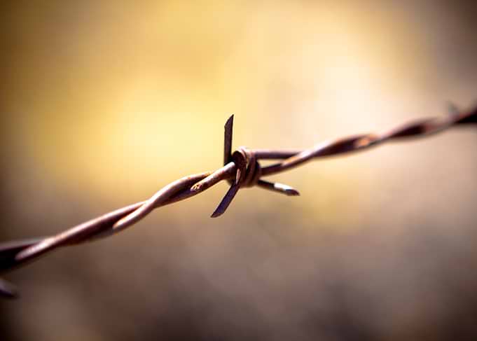 Close-up of Rusty Barbed Wire