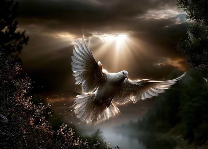Dove Flying Through Sunbeams