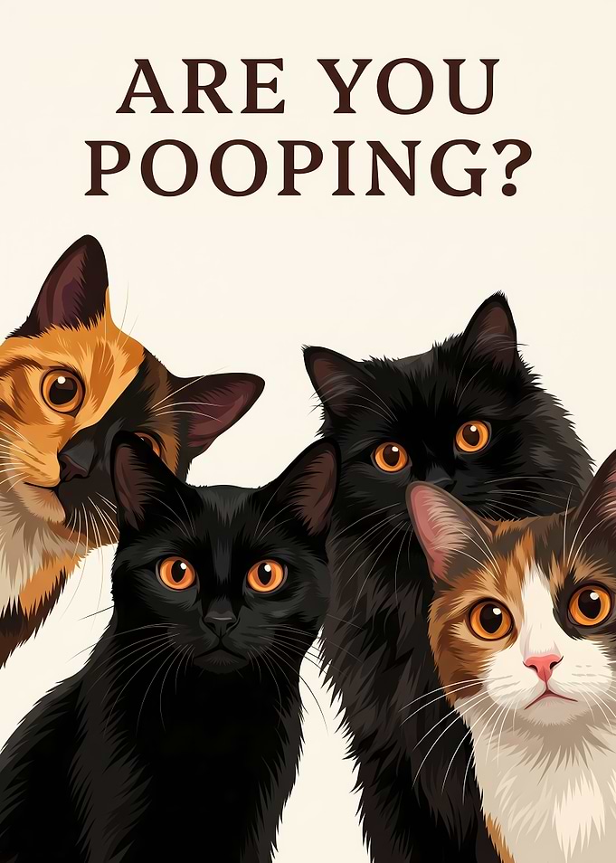 Cats Asking 'Are You Pooping?'