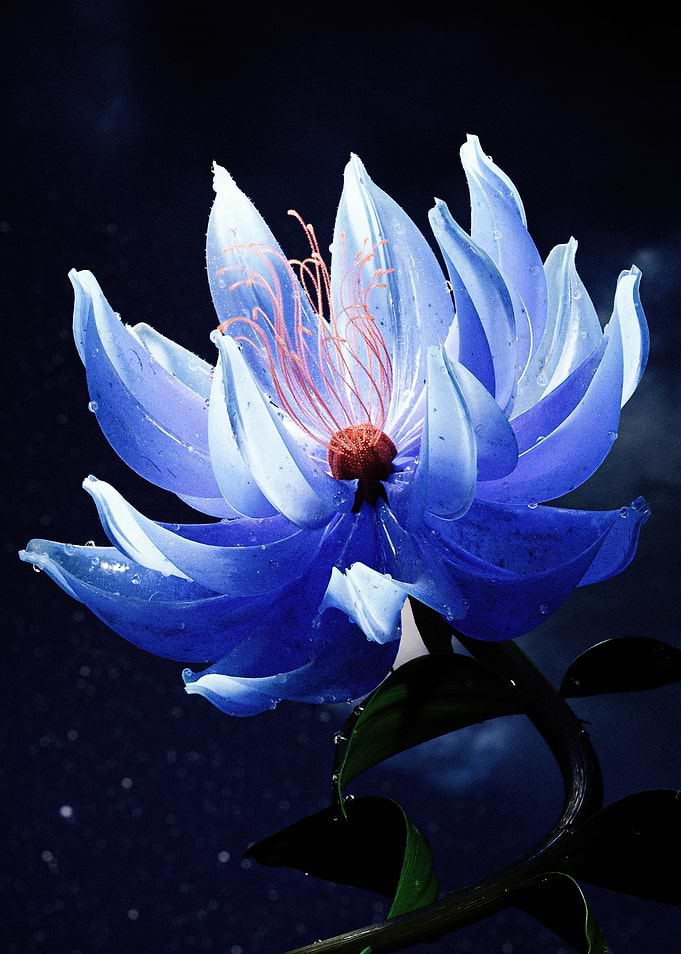 Ethereal Blue Lotus Flower