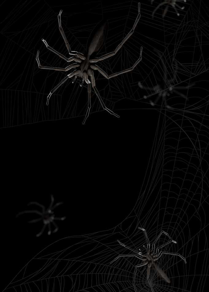 Spiders on a Web