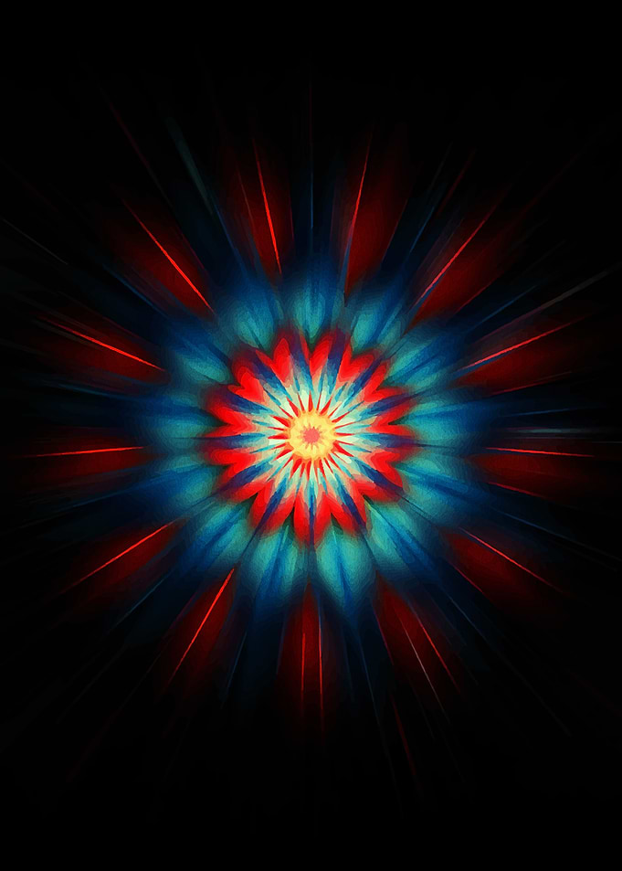 Abstract Floral Burst