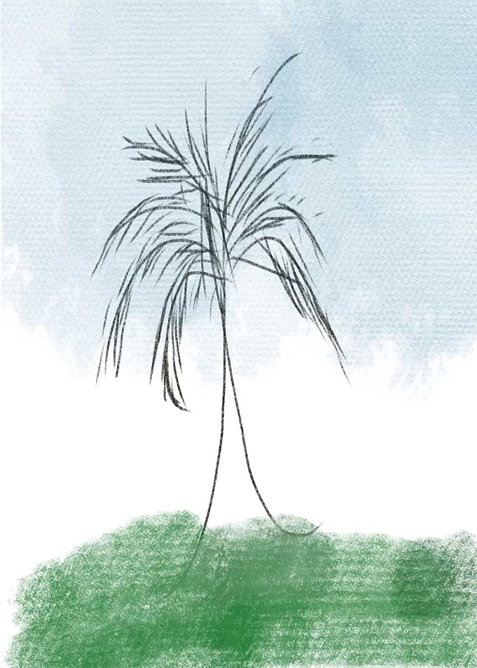 Grassy Hill with Tall Grass and Blue Sky