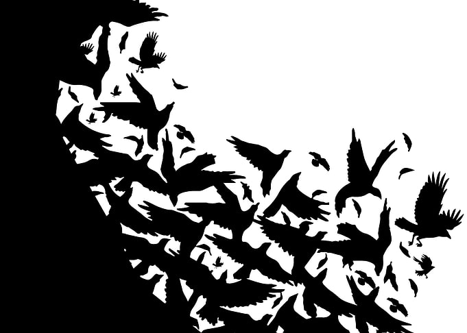 Flock of Birds Silhouette