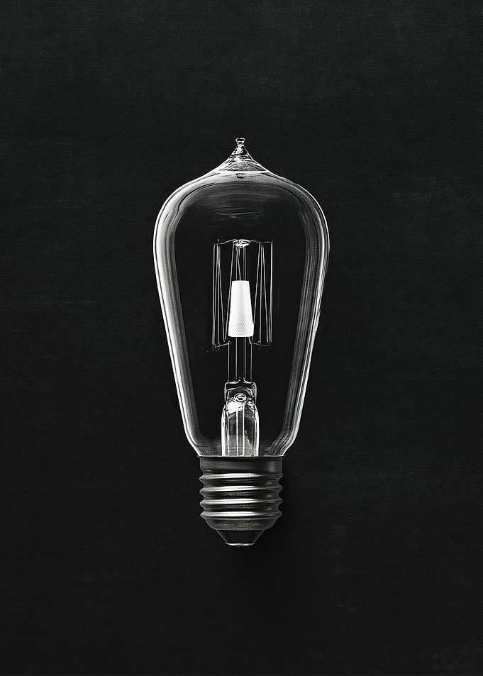 Vintage Edison Light Bulb