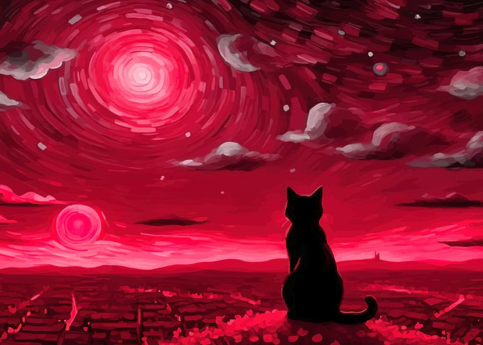 Black Cat Gazing at Red Sky