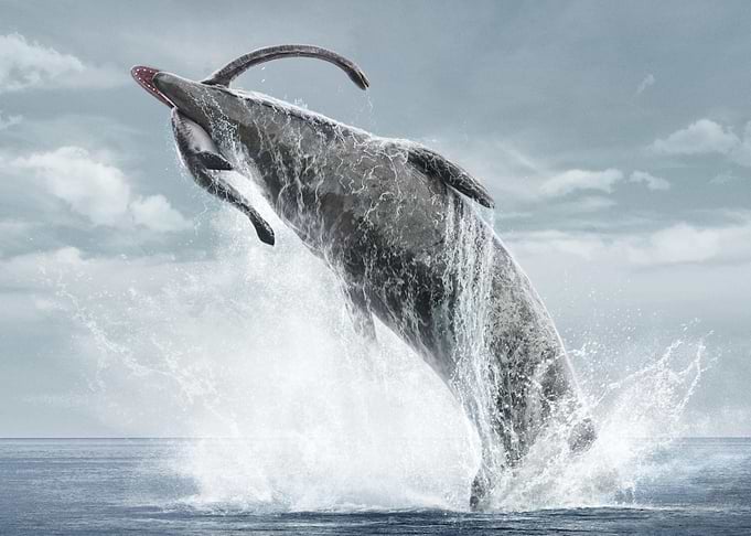 Sperm Whale Breaching Ocean