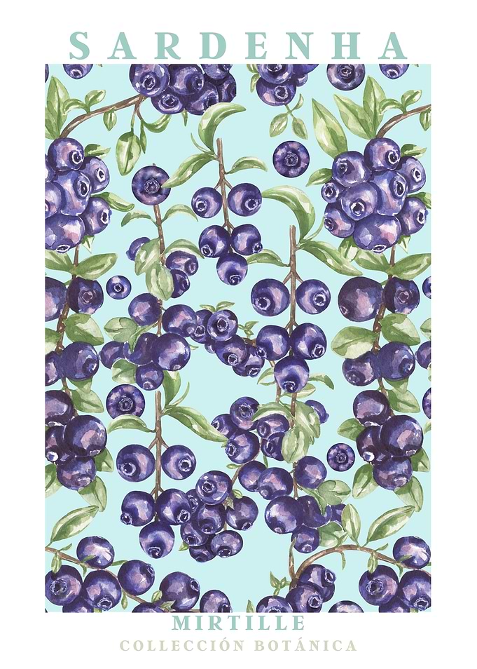 Blueberry Botanical Illustration
