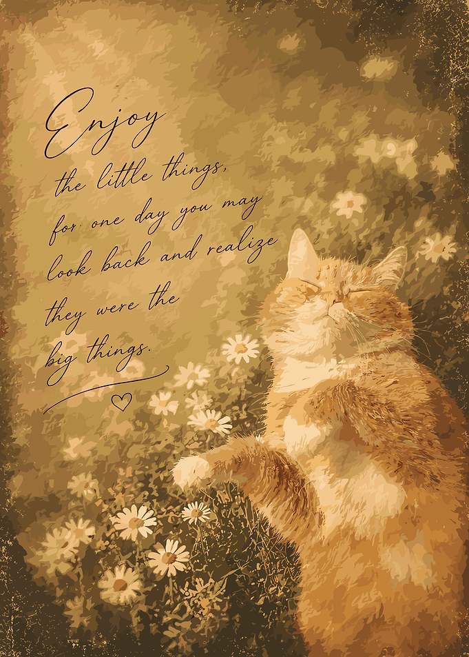 Cat Enjoying Little Things