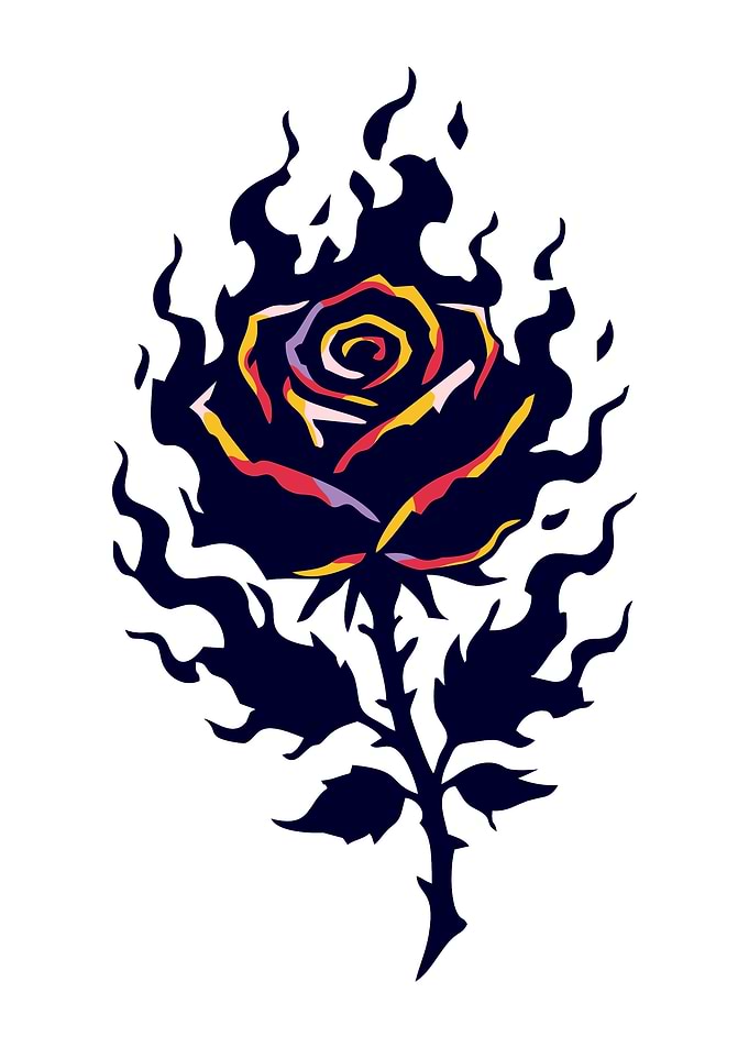 Flaming Rose with Colorful Petals