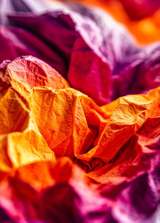 Abstract Orange Pink Purple Lesbian Flag