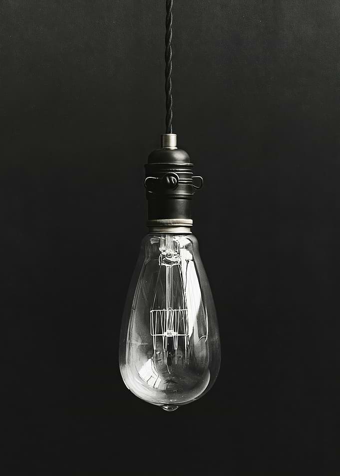 Vintage Edison Light Bulb