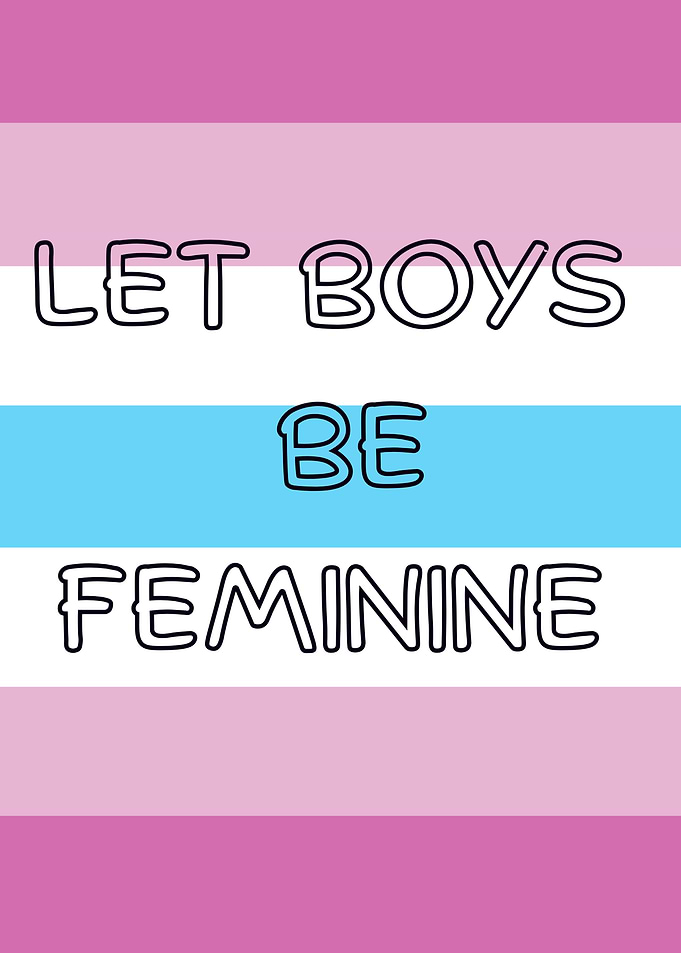 Let Boys Be Feminine Femboy Flag