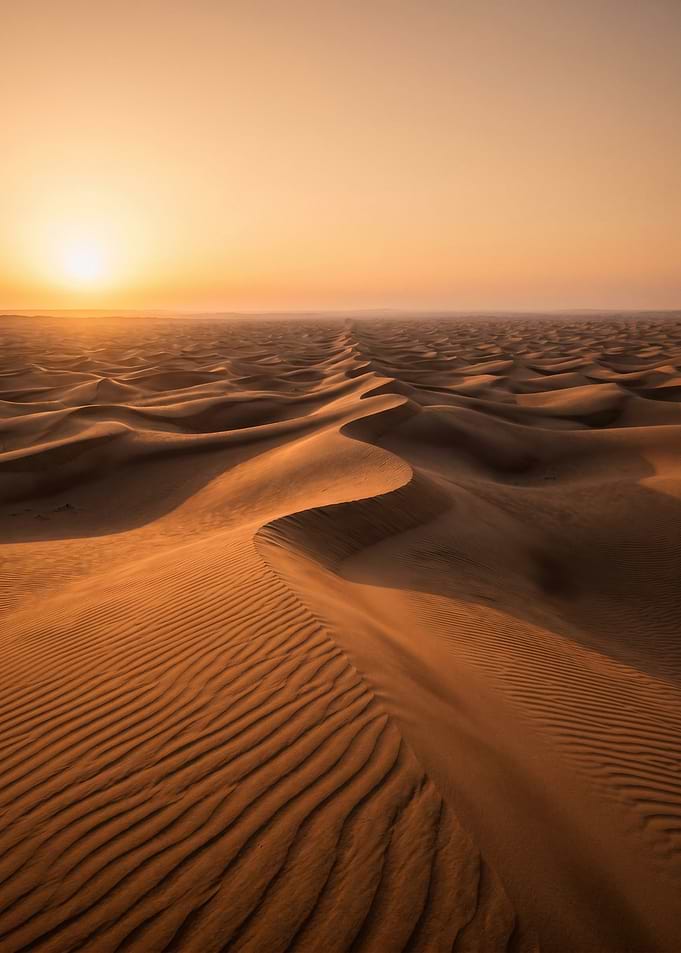 Desert Dunes at Sunset