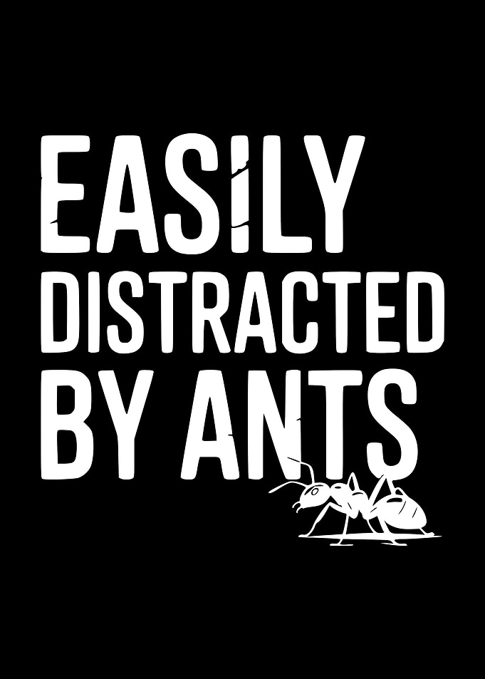 Easily Distracted by Ants