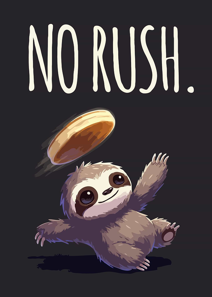 Cute Sloth with 'No Rush' Text