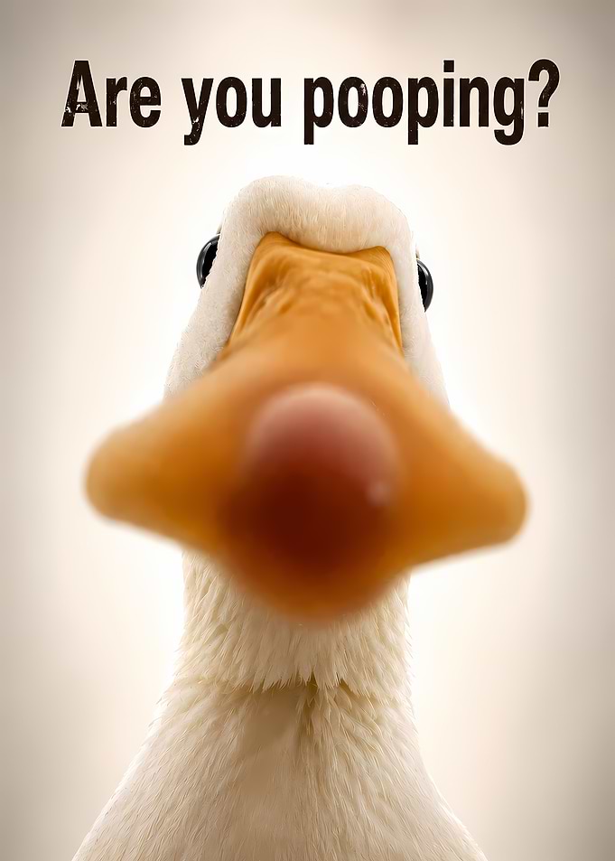 Are you pooping? Duck Art