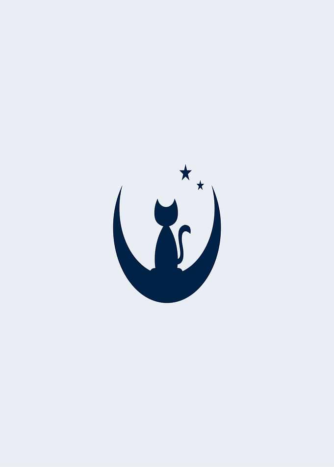 Cat on Crescent Moon With Stars