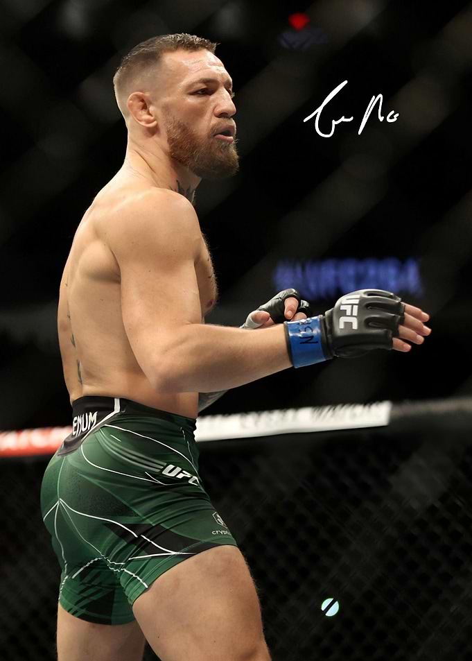 Conor McGregor in UFC octagon